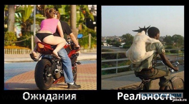 Ожидания VS Реальность