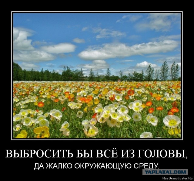 Чёрт, чёрт, чёрт!