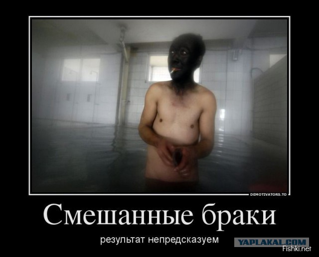 Веселые картинки
