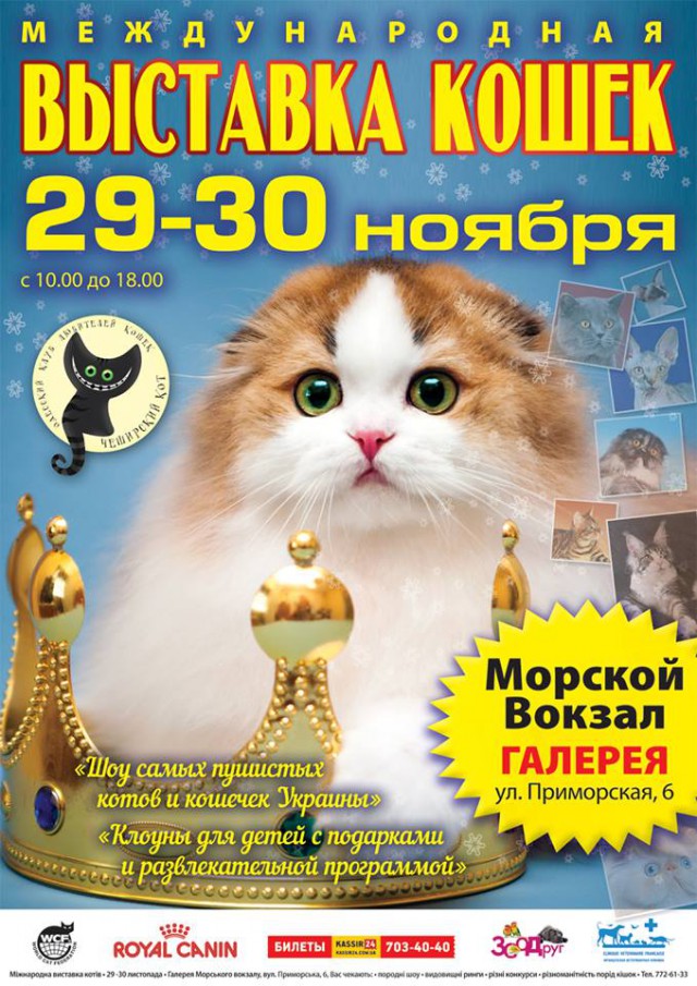 Международная Выставка Кошек "Чеширская Улыбка"