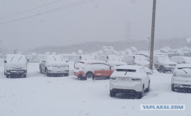 СНЕЖОК Владивосток 26.02.2015
