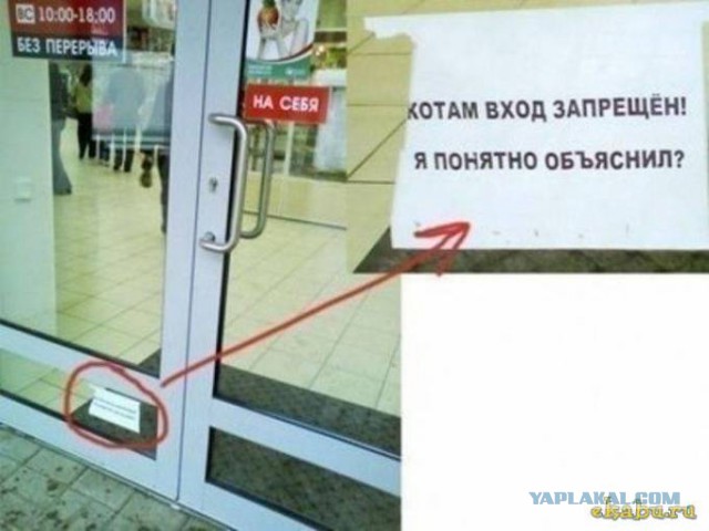 Пятничная подборка