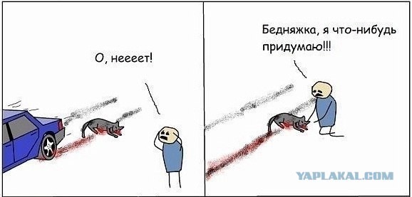 Добрый хозяин