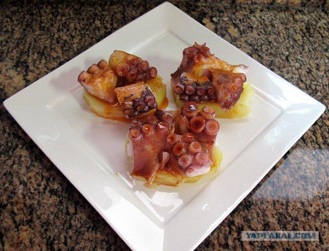 Осьминог по-галисийски. Pulpo a la Gallega.