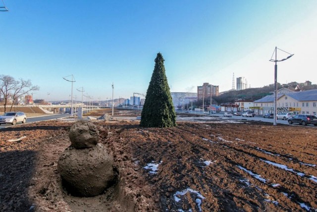 Во Владивостоке установили елку...