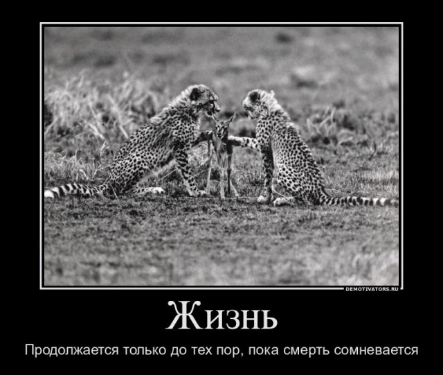 Вы хотите "демов"?