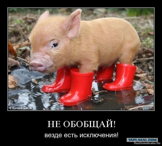 Сходите  на кузнецкий - все в лаковых
