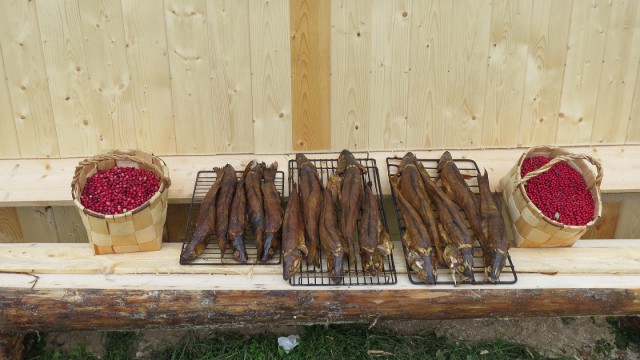 Неудачная рыбалка или нет худа без добра