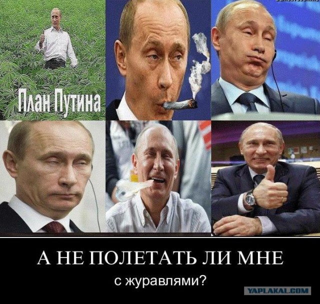 Путин с клювом в халате возглавил журавлиный клин