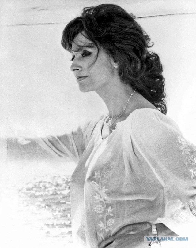 Sophia Loren