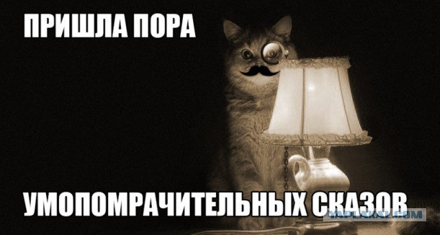 Ипал, не ипал ? не могу понять ...