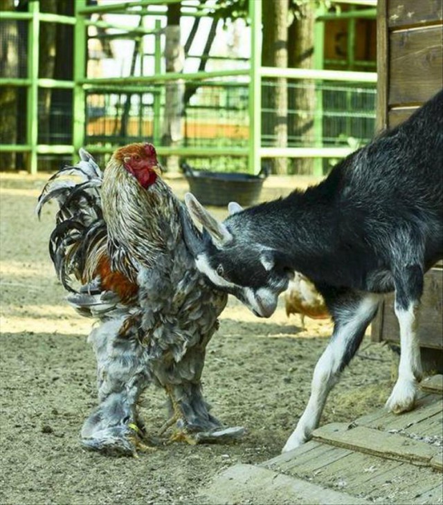 Славянская Душа