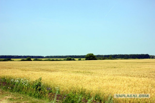 Сельскохозяйственный эксперимент ч. 5