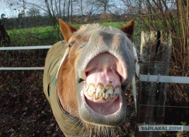 Для поднятия настроения.