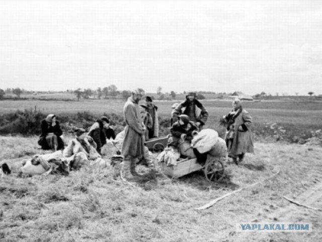 День начала Великой Отечественной войны, 22 июня 1941
