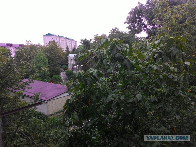 Мне нравится смотреть на город из моего окна,