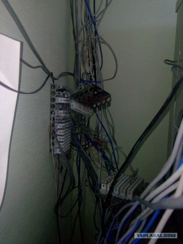 IT Треш и Содомия