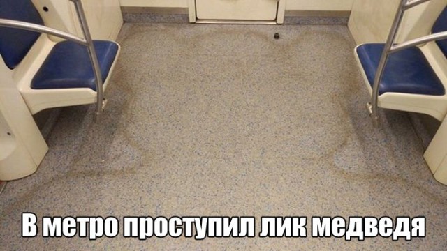 Смешные картинки из сети на 21.10.16