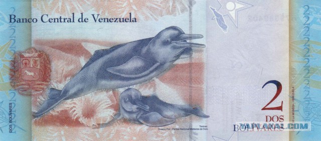 Самые красивые банкноты мира