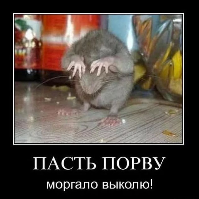 Наша служба и опасна и страшна...