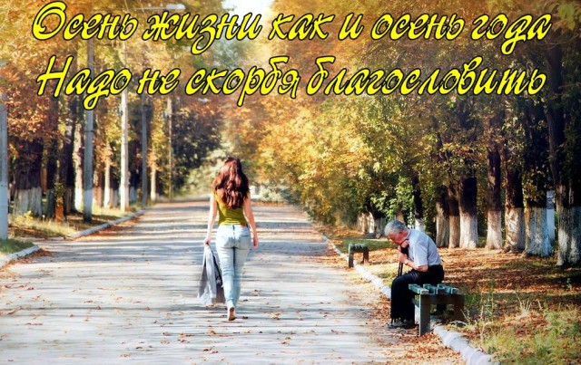Картинок пост