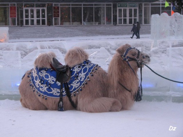 Подборка интересных и веселых картинок