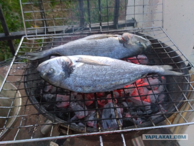 Греция, конец мая, самотур