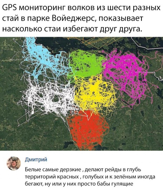 Нестандартный юмор