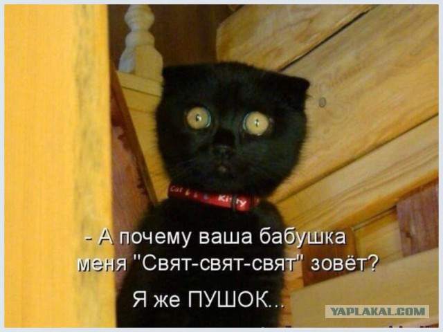 Серена Уильямс демонстрирует, прости господи...