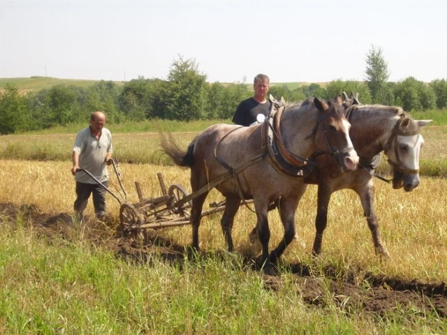 Каникулы в деревне