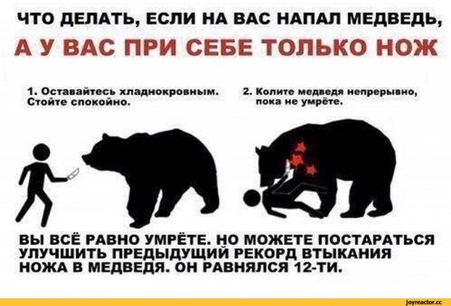 Медведь - страшная сила