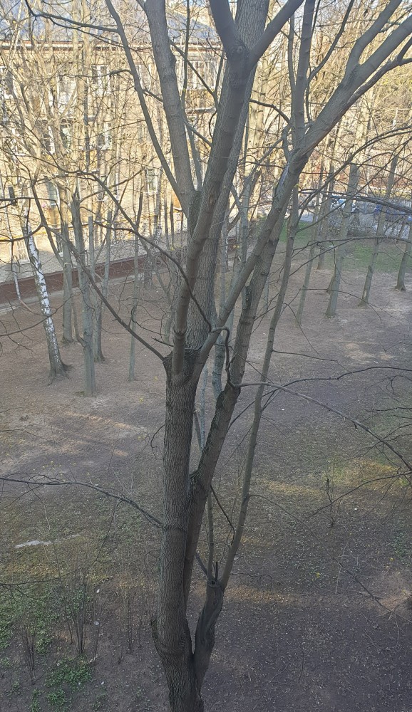 А что у вас сейчас за окном?