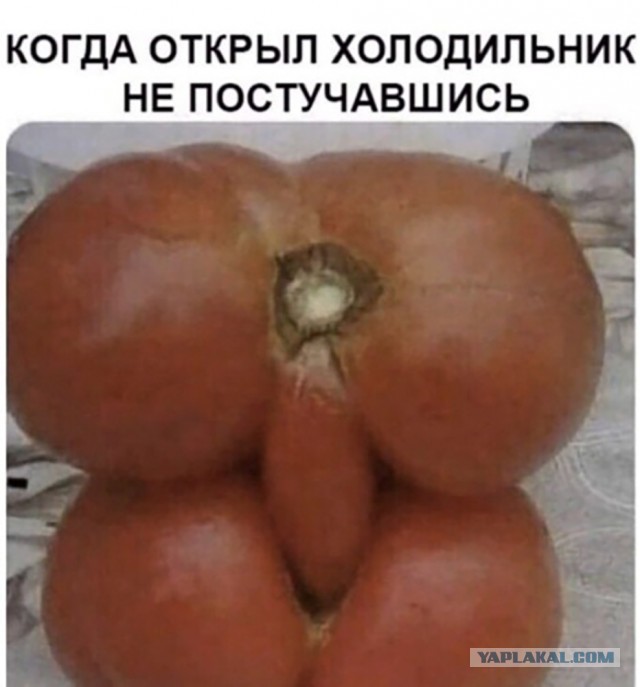 Картинки из рабочего чата 23.04