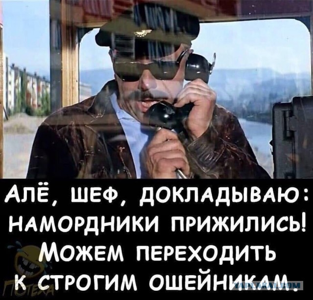 Сейчас Собянин , Воробъев и Беглов еще затянут нам пояса