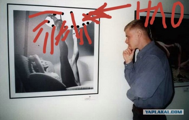 Фотожаба: Молодой ценитель