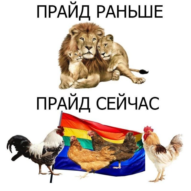 Так себе картинки 06.07.20