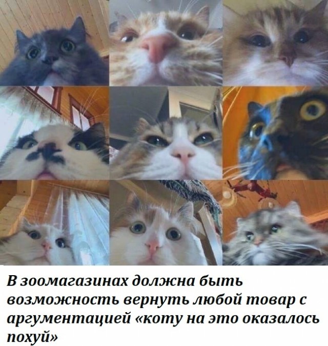 Картинки и буквы 11.10.20