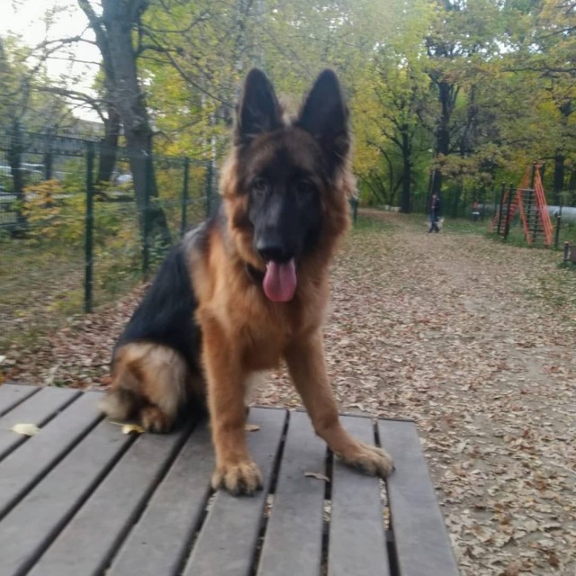 Глазки отдохните: подборка живности всякой