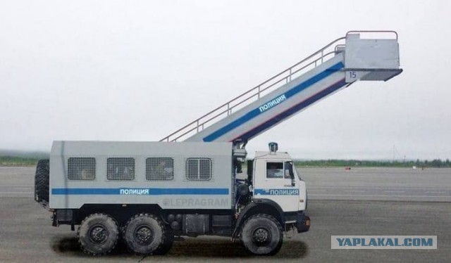 Стрим возвращения Навального из Берлина во Внуково