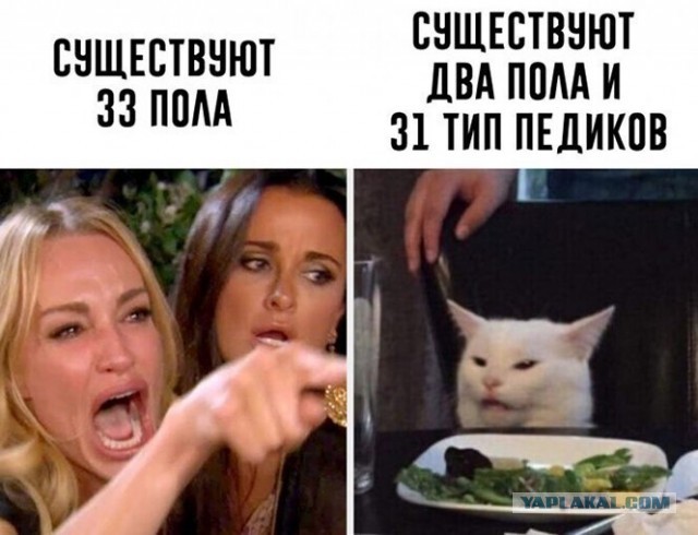 Так себе картинки 13.03.21