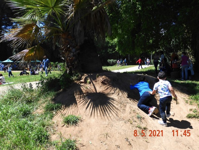 #ДРЯПикник2021! Компот из мяса.