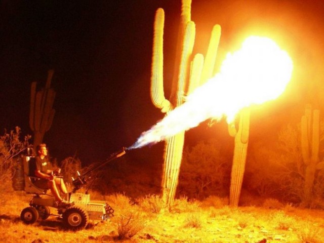 Картинки и мемы для настроения 04.08.2021