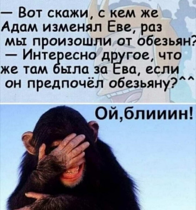 Йумористические картинки 12.08.2021
