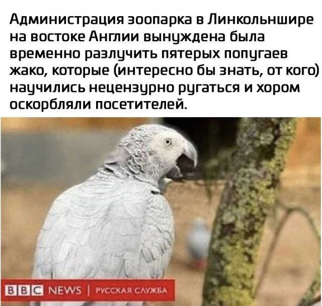 16013583.jpg
