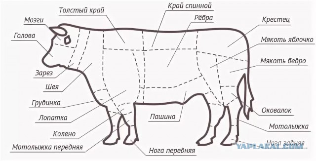 А что у вас сегодня на обед?