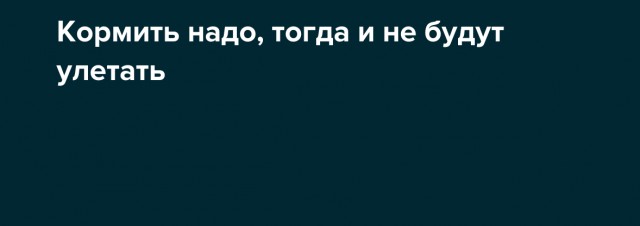 Существует три вида прыжка