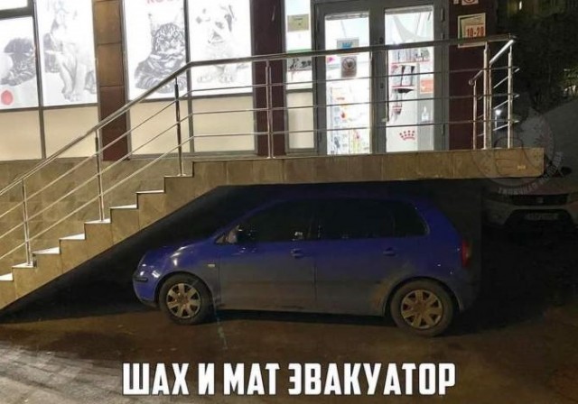 Фото для глазa/cердца/мозга