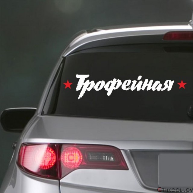 Путин подписал закон о возможности регистрации прав на иностранные самолеты, находящиеся в лизинге у компаний РФ
