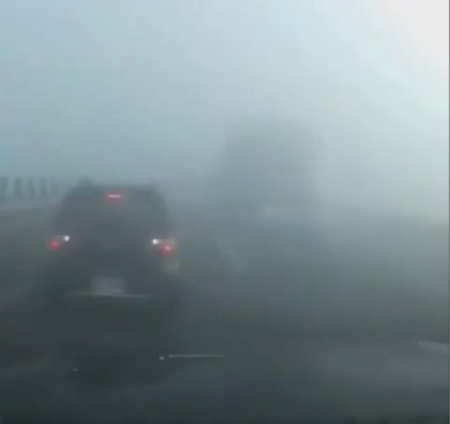 Глазами Водятла