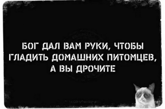 Картинки и мемы, всем хороших выходных